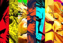 PAL NORTE, HISTORIA DE UNA DÉCADA ASCENDENTE